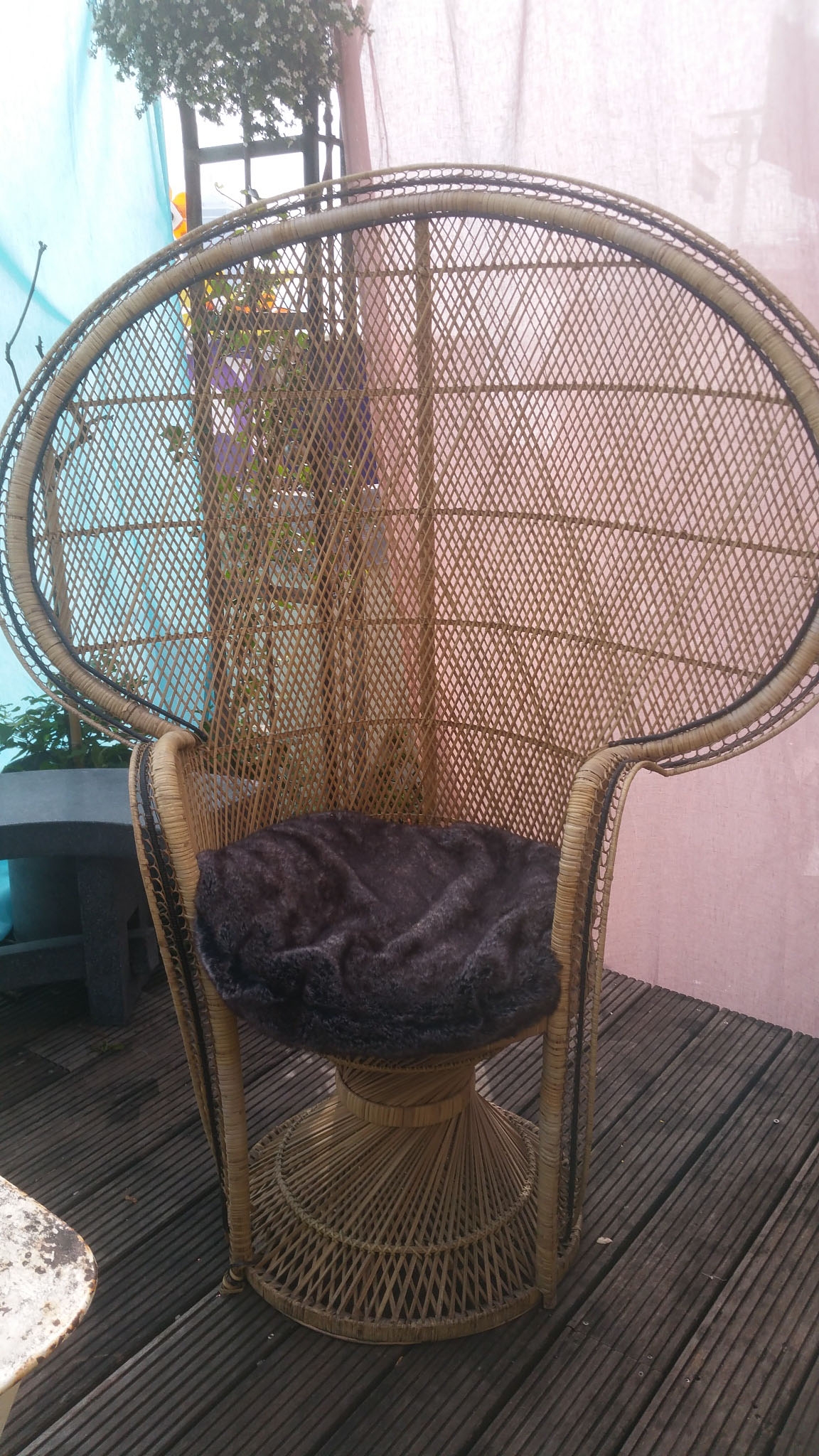 00154 peacock chair XL